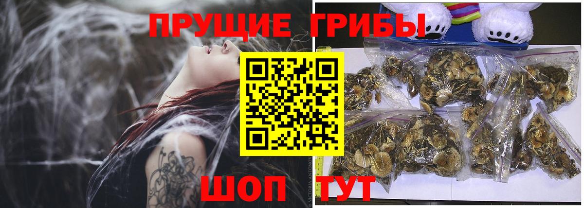 Грязи  закладки  Псилоцибиновые грибы GOLDEN TEACHER  Вход с VPN  Галлюциногенные грибы прущие грибы 
